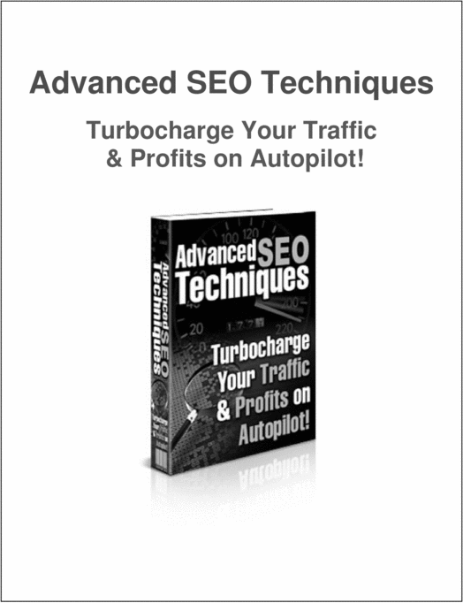 Product picture Advanced SEO Techniques